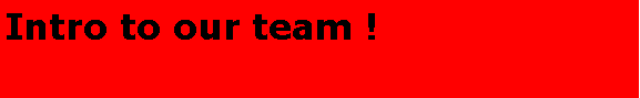 Text Box: Intro to our team !	